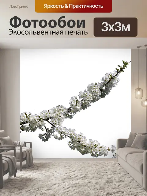 Фотообои Вишневый цветок