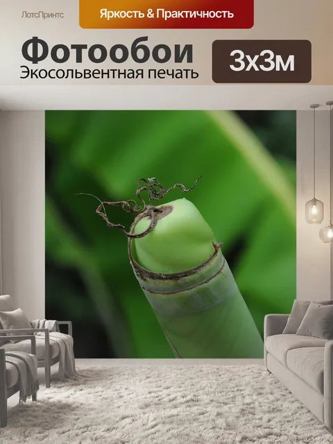 Фотообои Банан
