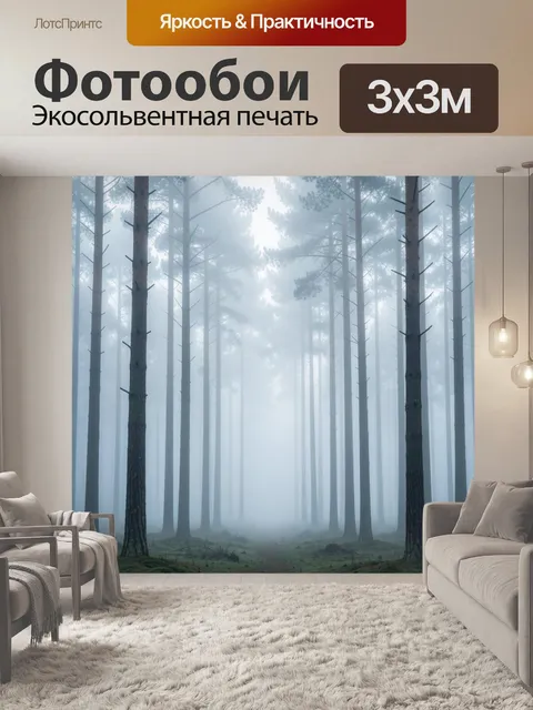 Фотообои Туманный сосновый лес