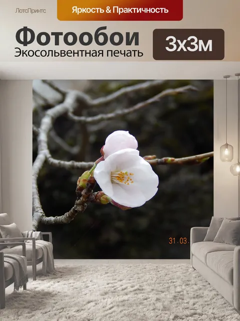 Фотообои ранний весенний цвет