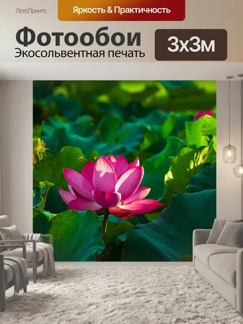Фотообои Lotus