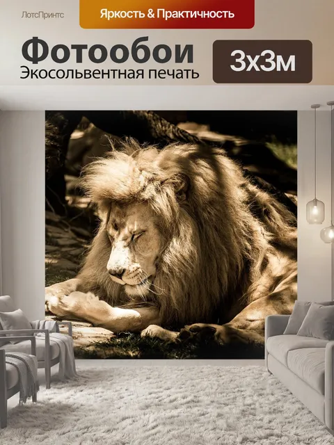 Фотообои Белый лев