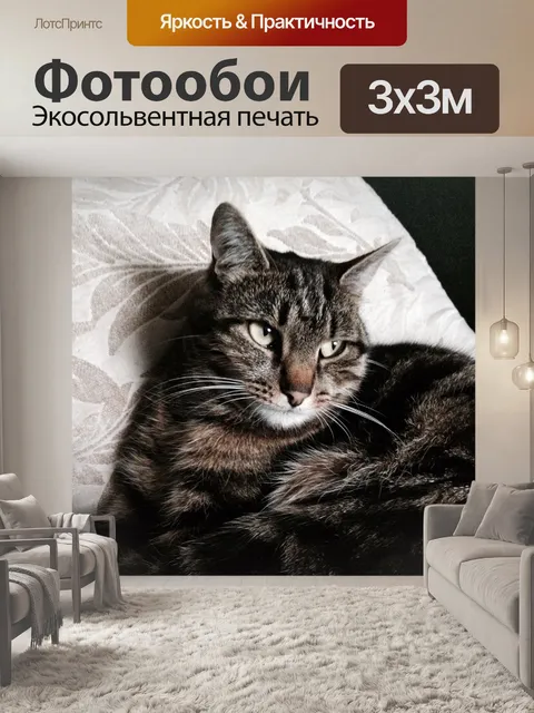 Фотообои Кошка