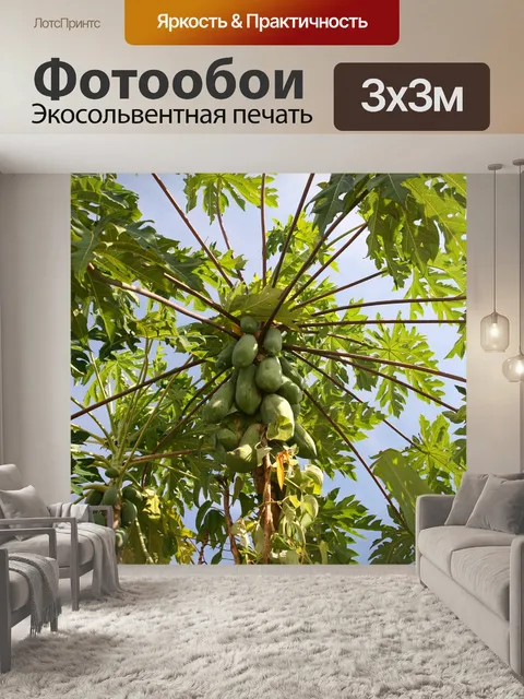 Фотообои Папайя