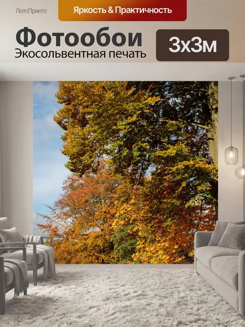 Фотообои Осенние деревья голубое небо