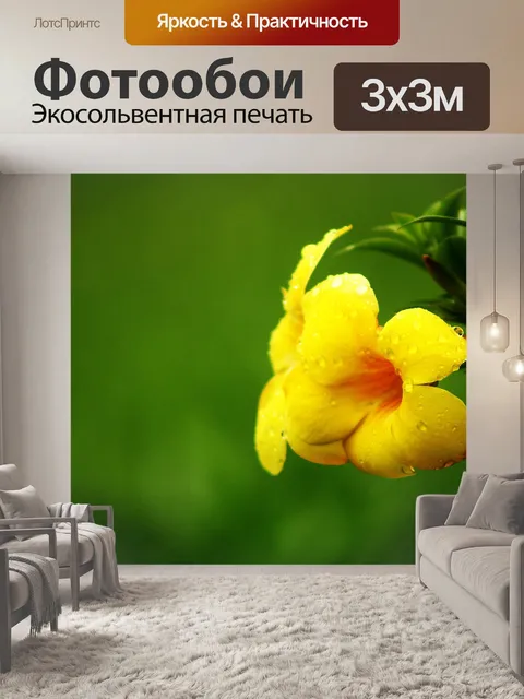 Фотообои Цветок