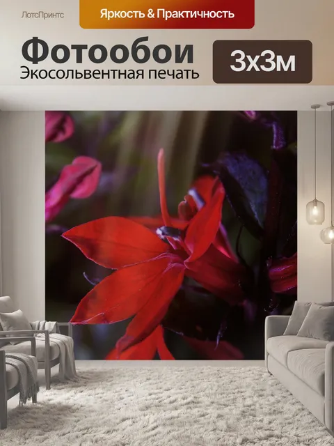 Фотообои Лобелия особая