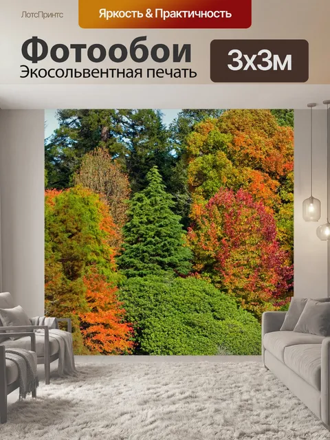 Фотообои Фон Осень Цвета