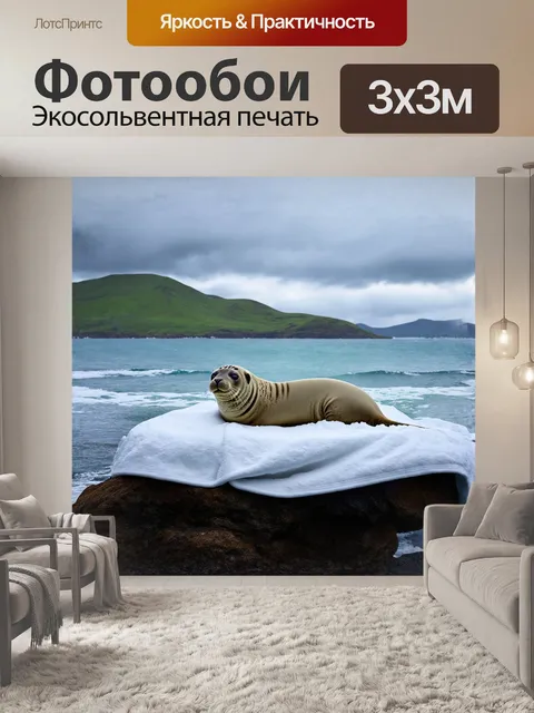 Фотообои тюлень, уютно устроившийся на валуне у кромки моря, спит под мягким одеялом из морской пены