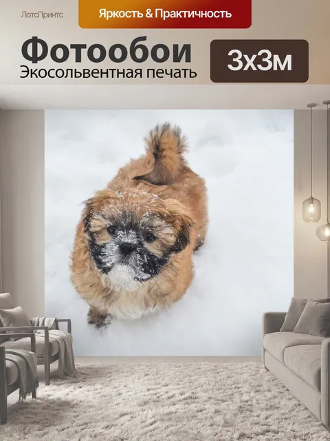 Фотообои Щенок