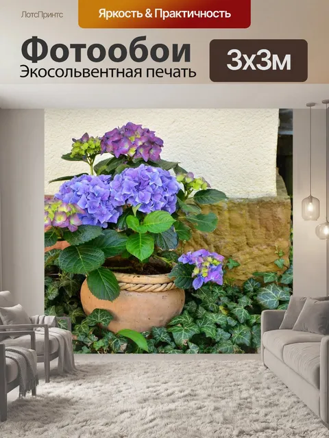 Фотообои Горшок для растений