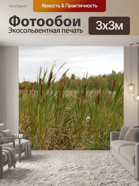 Фотообои Когда осенью оседает № 1