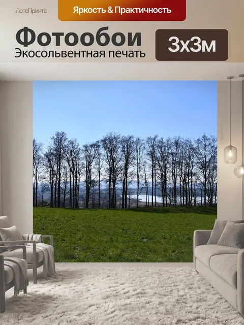 Фотообои Деревья