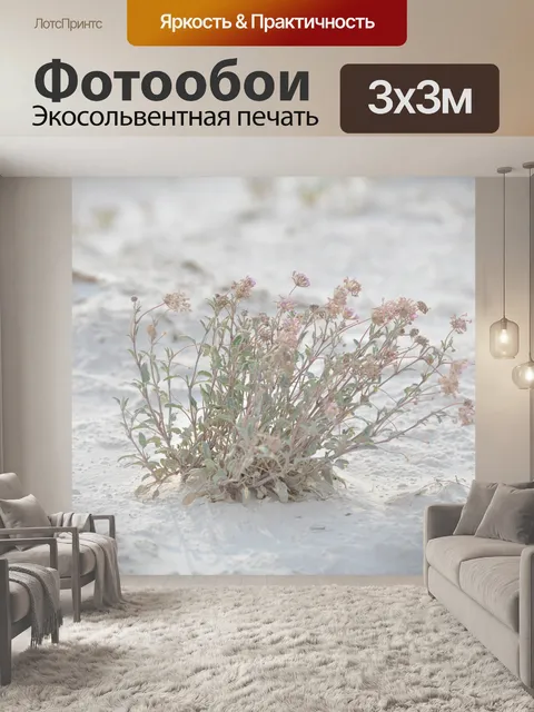 Фотообои Трава White Sands 2