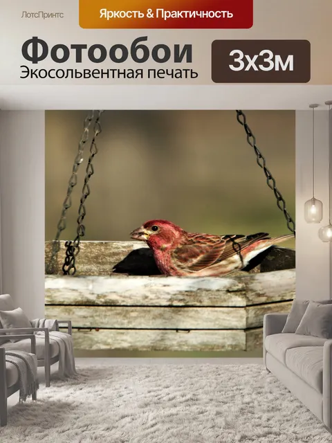 Фотообои Мужской Фиолетовый Дом Финч в Фидере