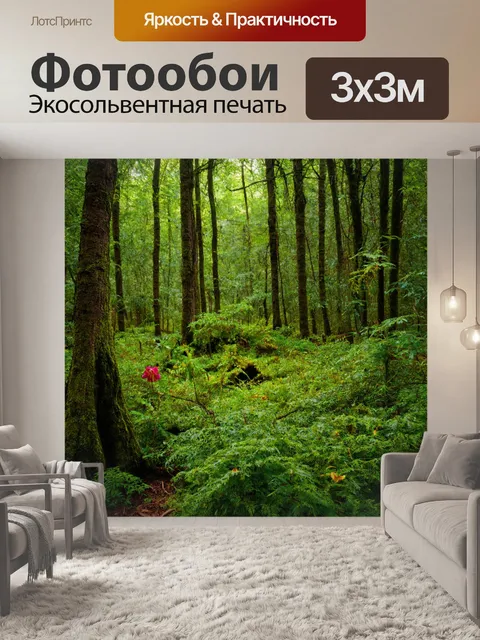 Фотообои лесное сокровище с редкими растениями и экзотическими цветами