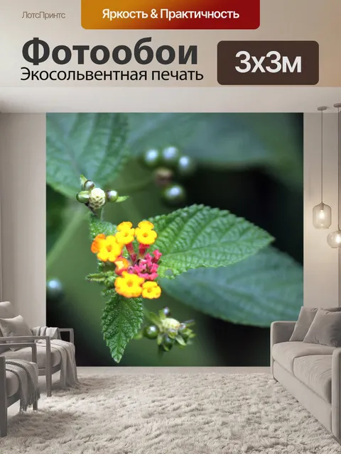 Фотообои поля вишни плоды и листья