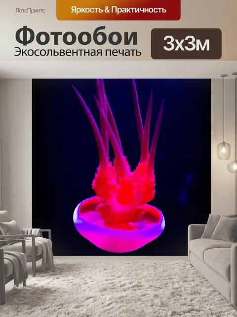Фотообои медуза