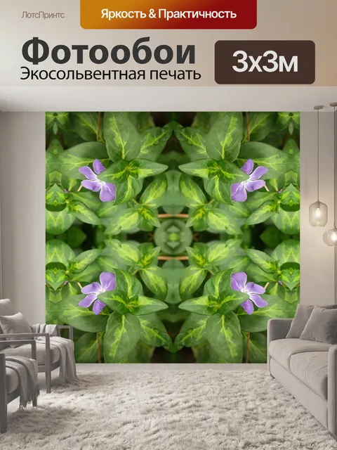 Фотообои цветок и листья повторите рисунок