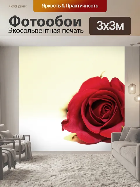 Фотообои Одиночная красная роза