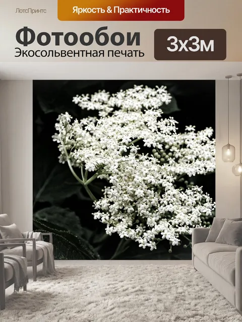 Фотообои Бузина