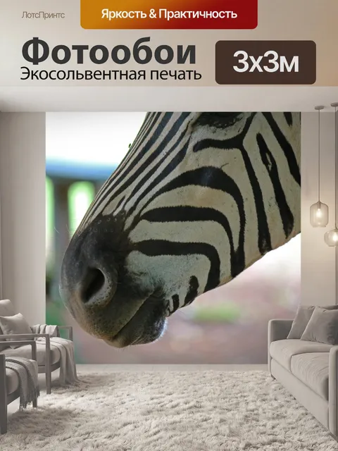 Фотообои морда зебры