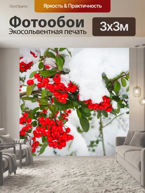 Фотообои красные ягоды, покрытые снегом