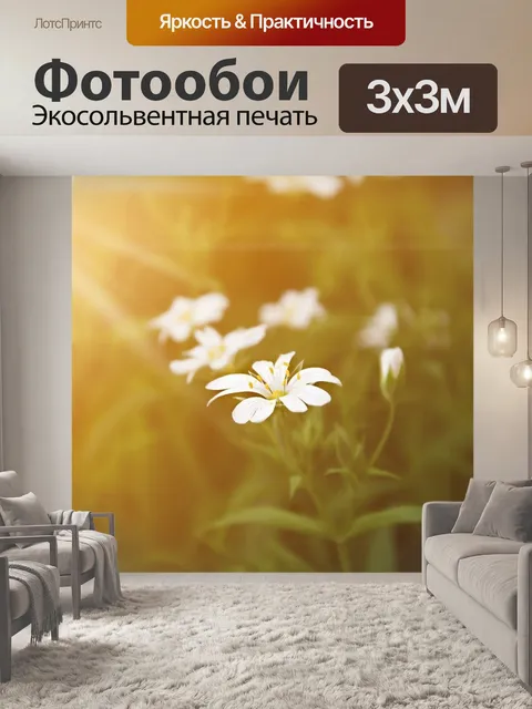 Фотообои Закат
