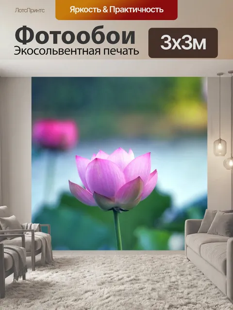 Фотообои Lotus