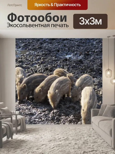 Фотообои Новички