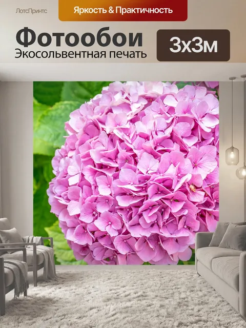 Фотообои Гортензии