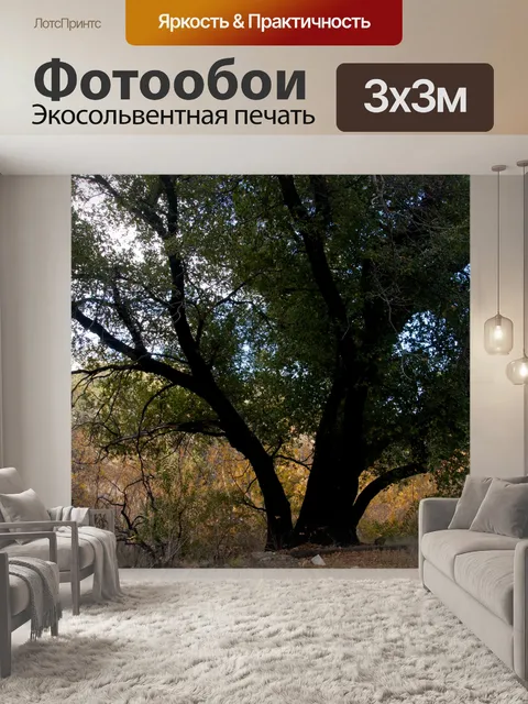 Фотообои Дерево и Золотой луг