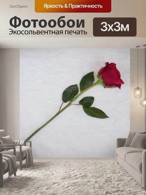 Фотообои Розы и белые меховые фона