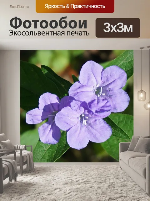 Фотообои Дикая петуния