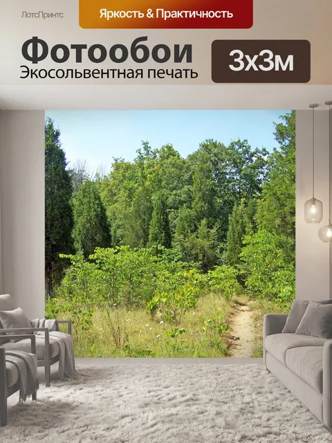 Фотообои Путь в лес