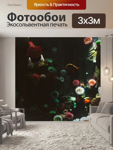 Фотообои Анемон