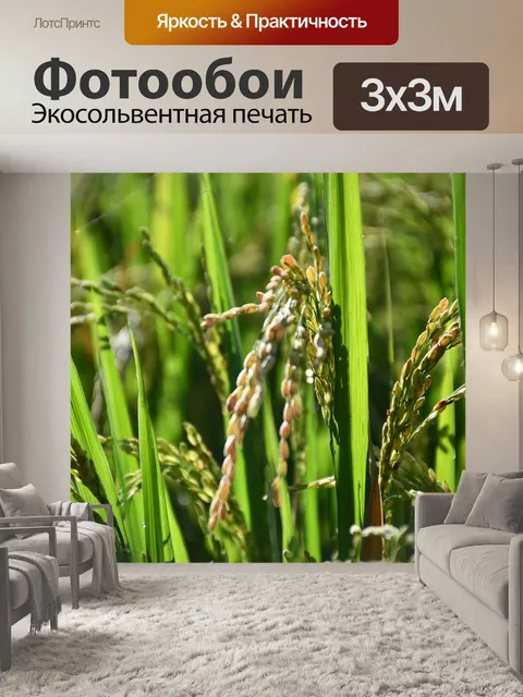 Фотообои Пэдди