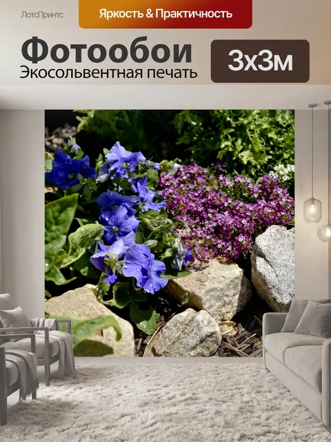 Фотообои Анютины глазки и Сад камней