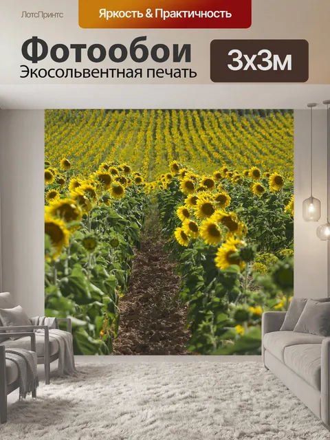 Фотообои Подсолнухи