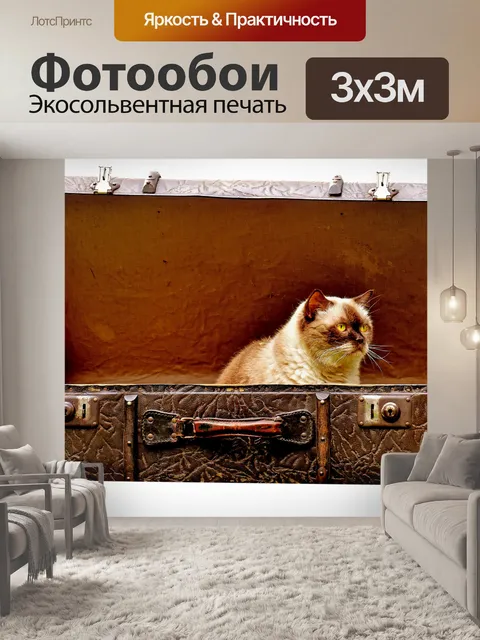 Фотообои Кошка