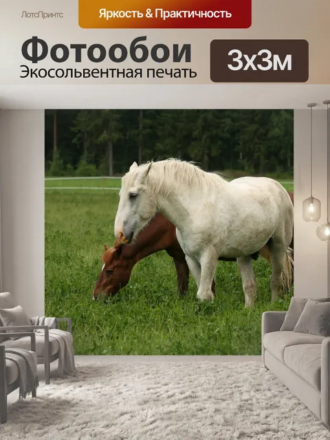 Фотообои Белая лошадь