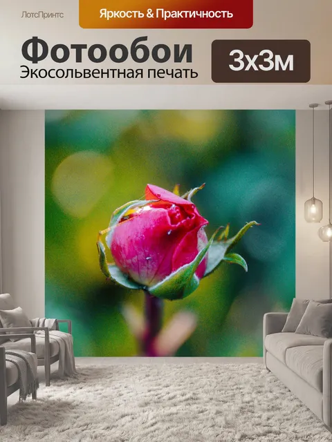 Фотообои Роза