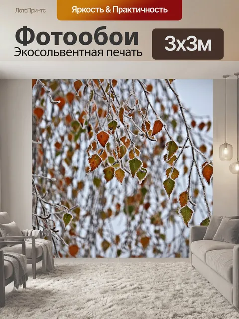 Фотообои Береза