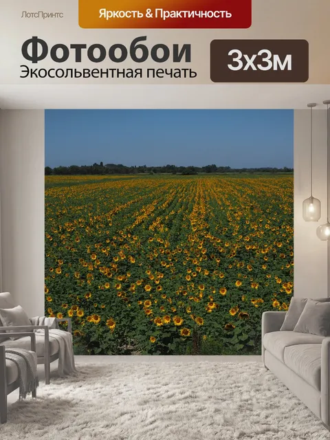 Фотообои Подсолнухи