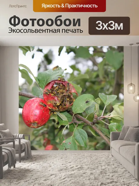 Фотообои Оса