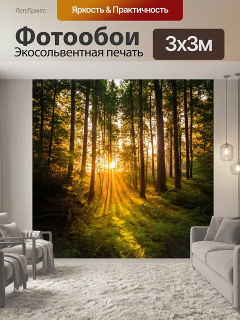 Фотообои закат в глубоком лесу