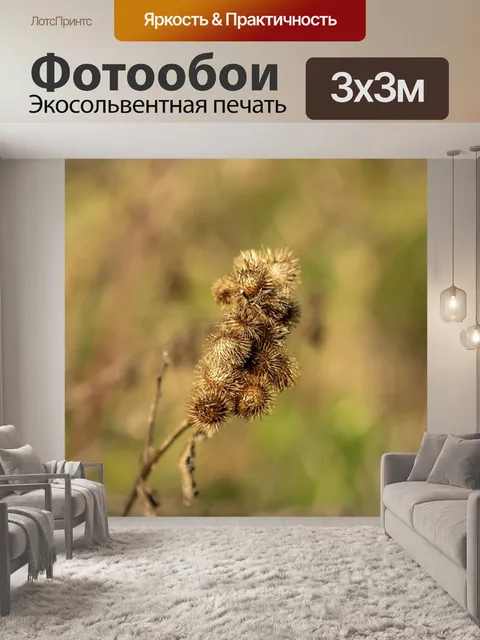 Фотообои Уайлдфлауэр