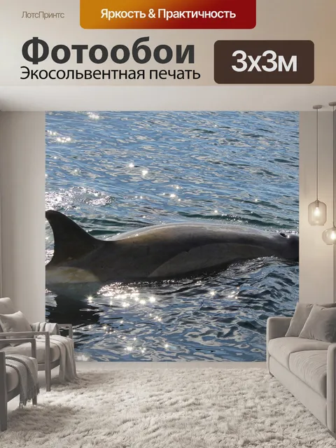 Фотообои Дельфин-касатка