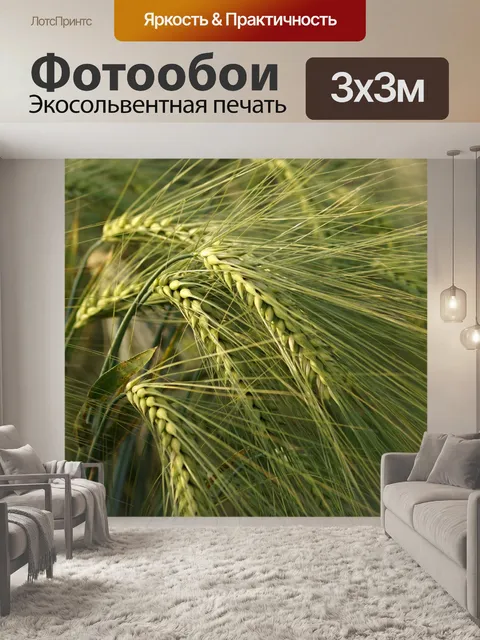 Фотообои Плоды поля ржаного ячменя