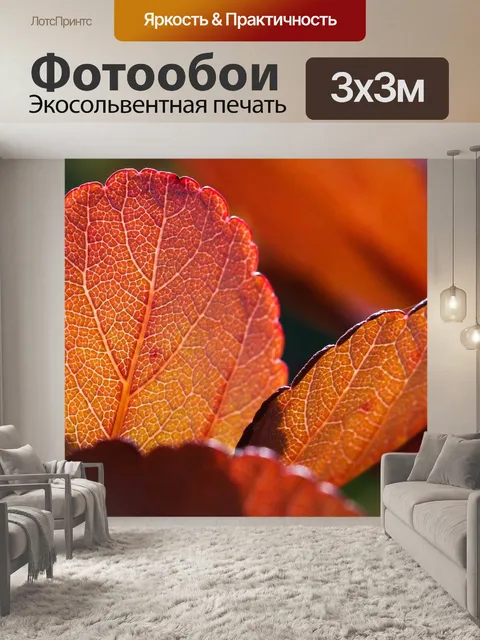 Фотообои Березовый угорь